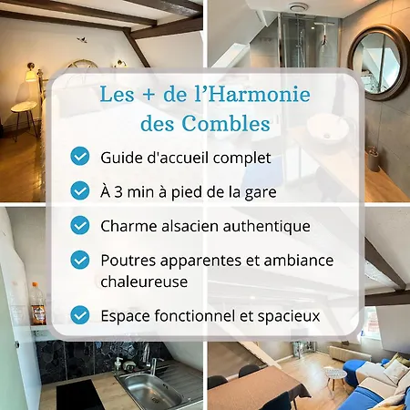 L'harmonie Des Combles - Proche Gare - Petite France - Commerces A Proximite Lejlighed