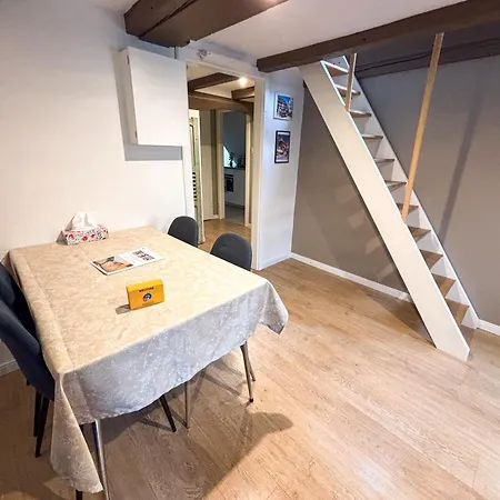 L'harmonie Des Combles - Proche Gare - Petite France - Commerces A Proximite Lejlighed Strasbourg